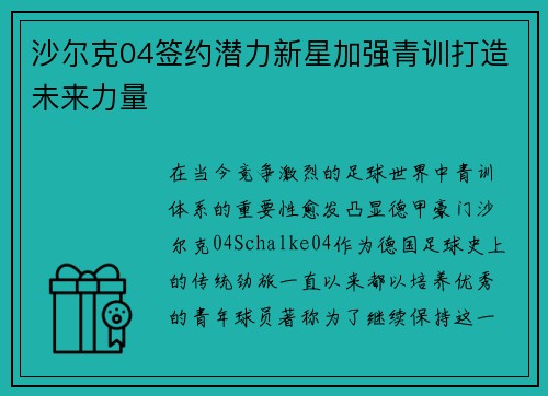 沙尔克04签约潜力新星加强青训打造未来力量